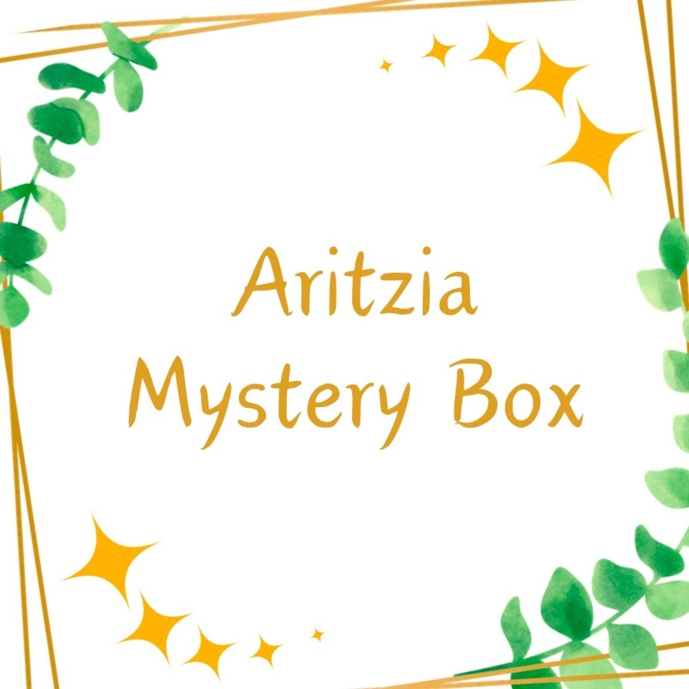 Aritzia Mystery Box five piece bundle women’s clothing